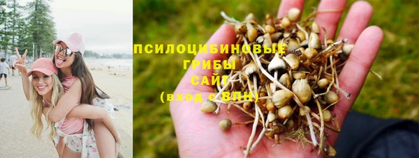 первитин Абинск